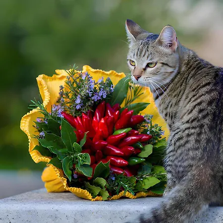 Villa Masseria Dipinto Di Blu *