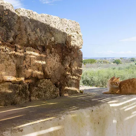 Villa Masseria Dipinto Di Blù Felline