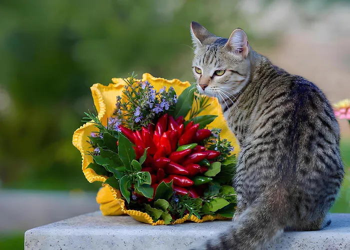 Villa Masseria Dipinto Di Blu *
